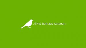 6 Jenis Burung Kedasih : Ciri-Ciri, Habitat & Makanan Kesukaannya